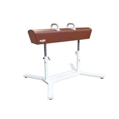 GMR Competition Pommel Horse