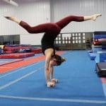 3-in-1 Adjustable Handstand Canes Example 2