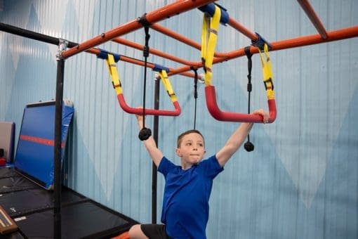 Adjustable Gym Trapeze Bar
